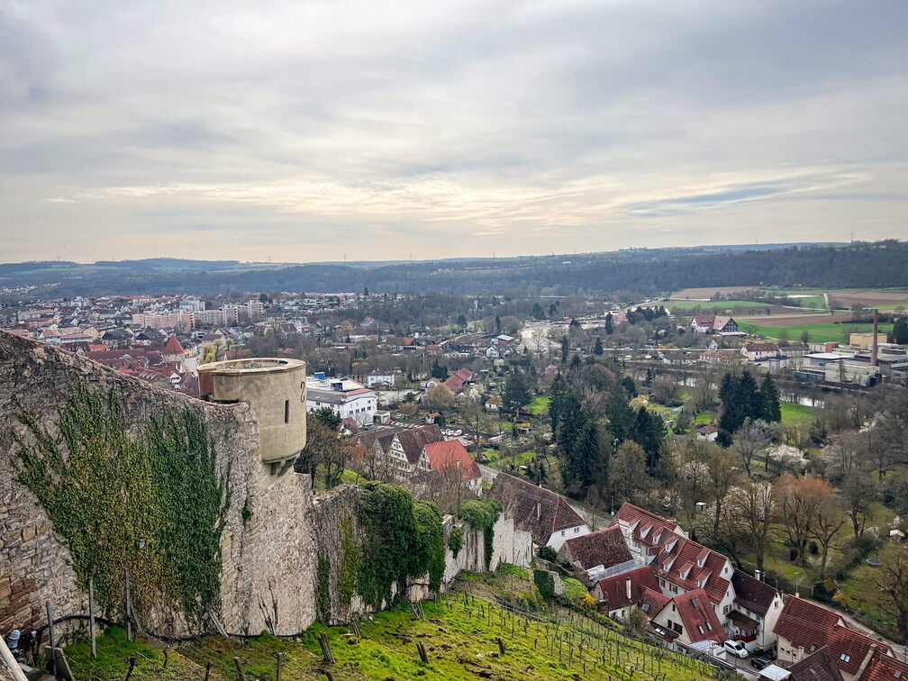 23-03-17 12-09-36 4902